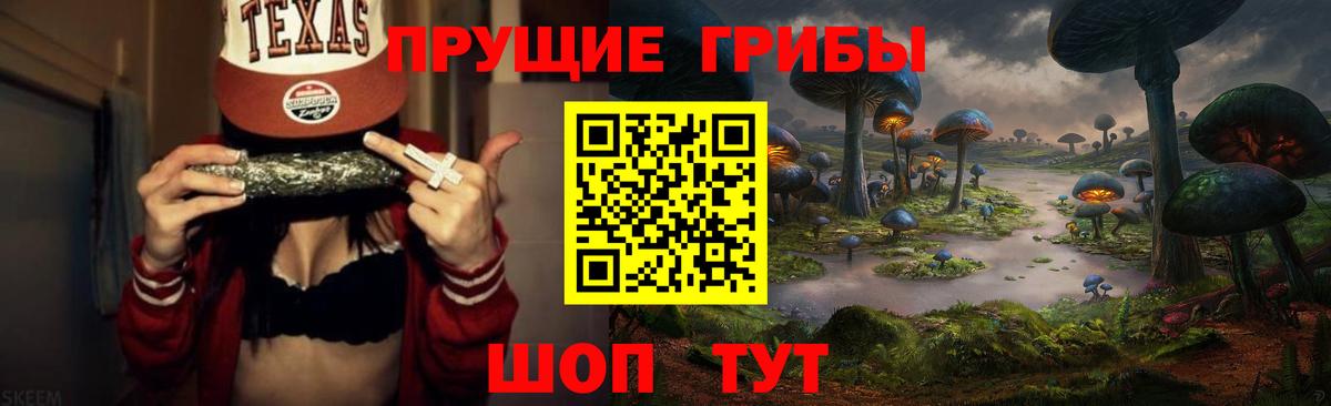 Псилоцибиновые грибы прущие грибы Ефремов